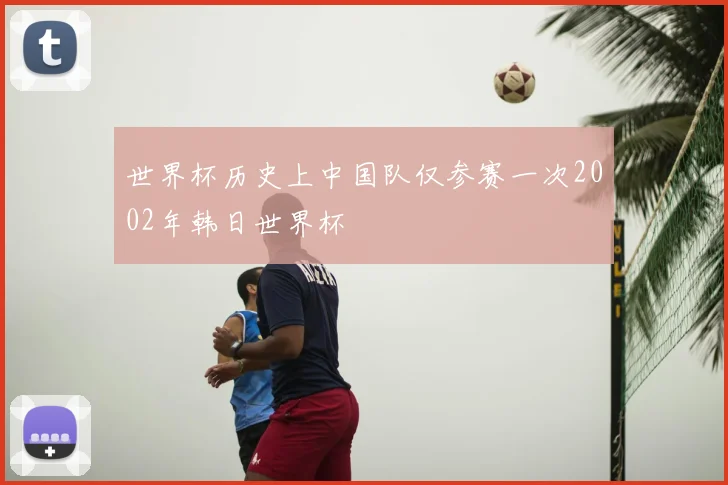 世界杯历史上中国队仅参赛一次2002年韩日世界杯