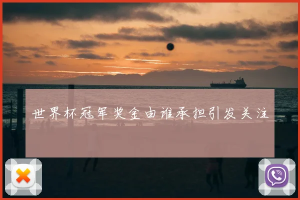 世界杯冠军奖金由谁承担引发关注