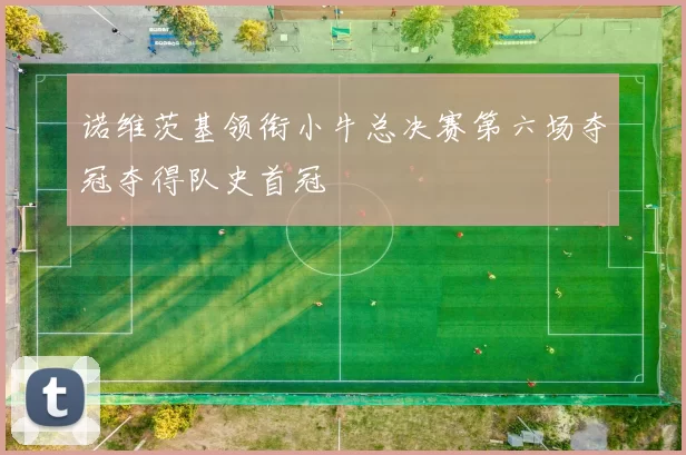 诺维茨基领衔小牛总决赛第六场夺冠夺得队史首冠