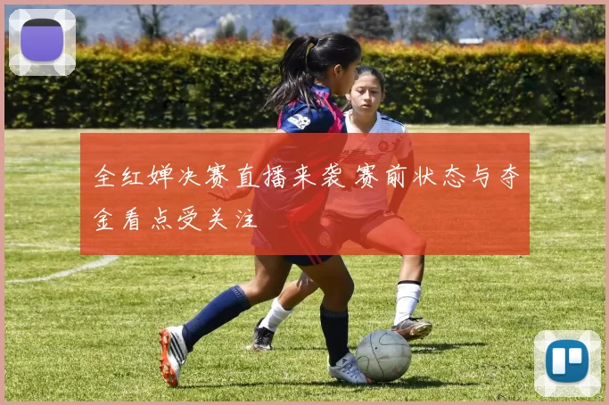 全红婵决赛直播来袭 赛前状态与夺金看点受关注