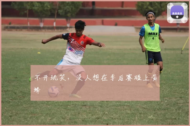 不开玩笑，没人想在季后赛碰上黄蜂