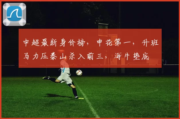 中超最新身价榜，申花第一，升班马力压泰山杀入前三，海牛垫底